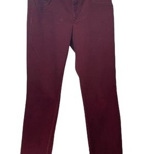 Ann Taylor Burgundy Velvet feel Women’s 12 CURVY Pants